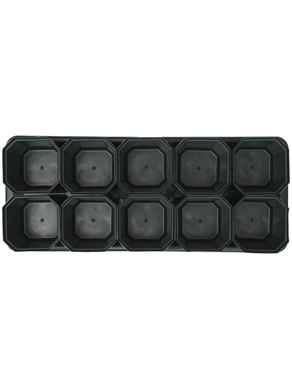 Набор для рассады: стаканы по 300 мл (10 шт.), поддон 41 × 17 см, цвет МИКС