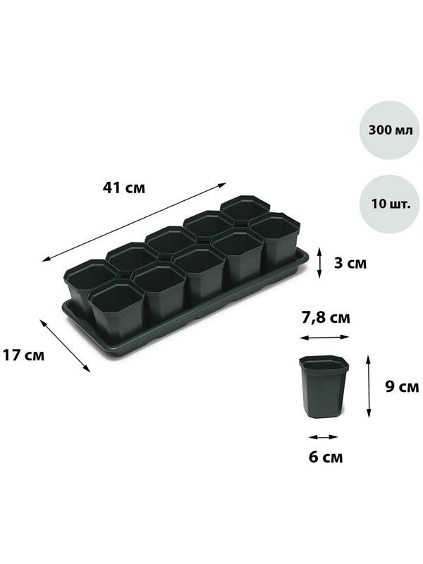 Набор для рассады: стаканы по 300 мл (10 шт.), поддон 41 × 17 см, цвет МИКС