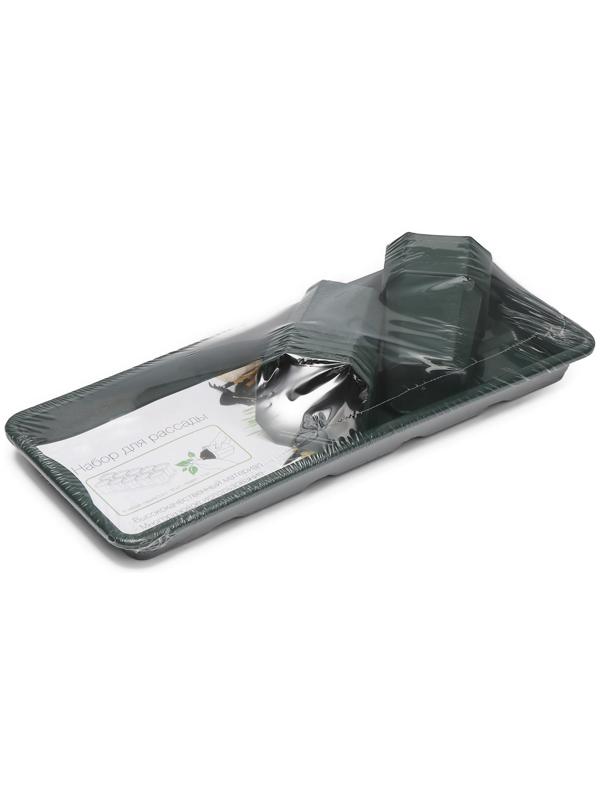 Набор для рассады: стаканы по 300 мл (10 шт.), поддон 41 × 17 см, цвет МИКС