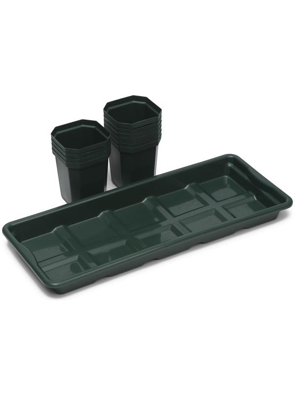 Набор для рассады: стаканы по 300 мл (10 шт.), поддон 41 × 17 см, цвет МИКС