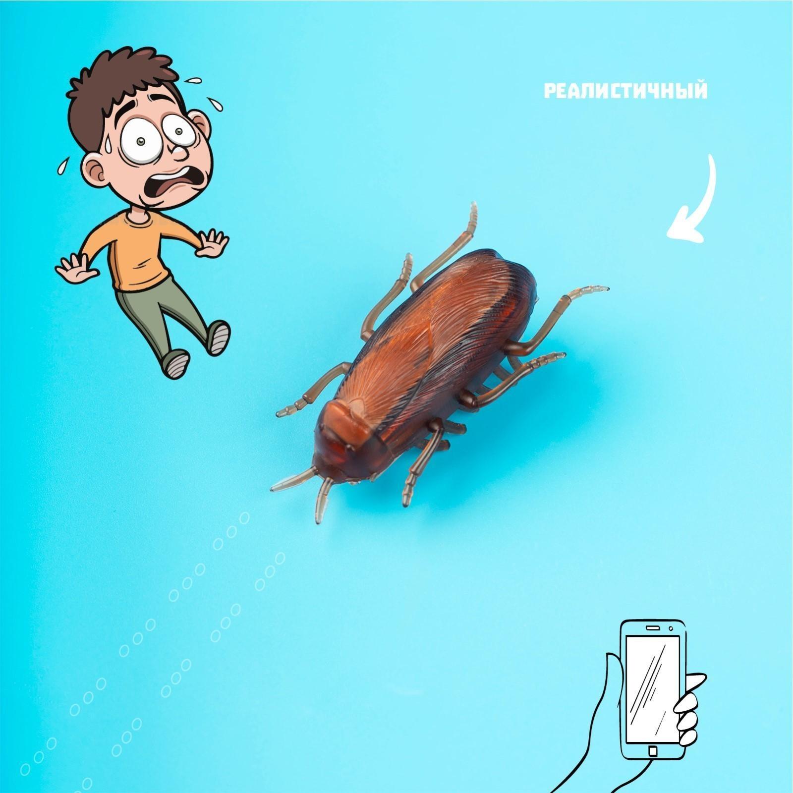 Жучок «Таракан», работает от батареек