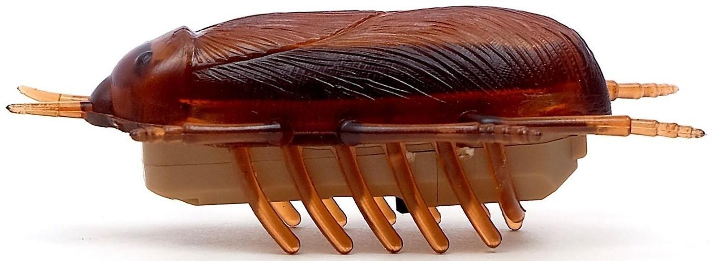 Жучок «Таракан», работает от батареек