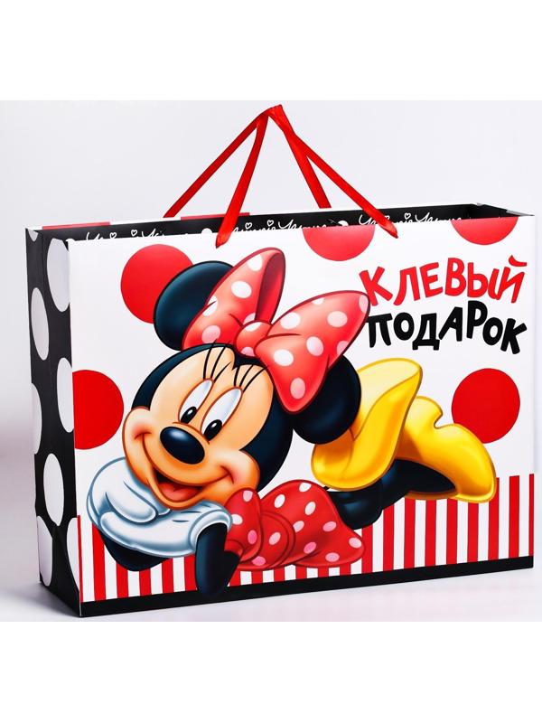 Пакет ламинированный горизонтальный 