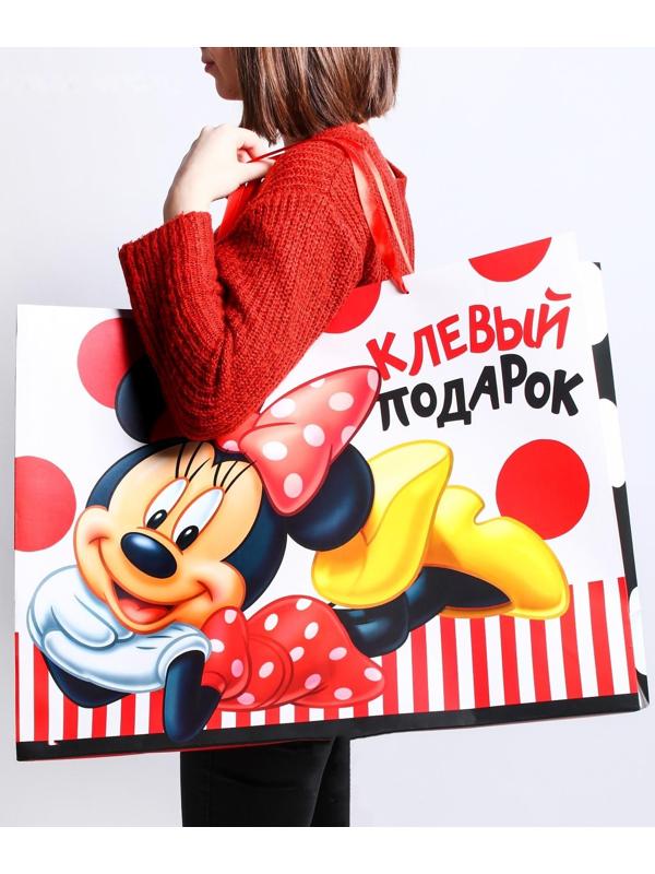 Пакет ламинированный горизонтальный 