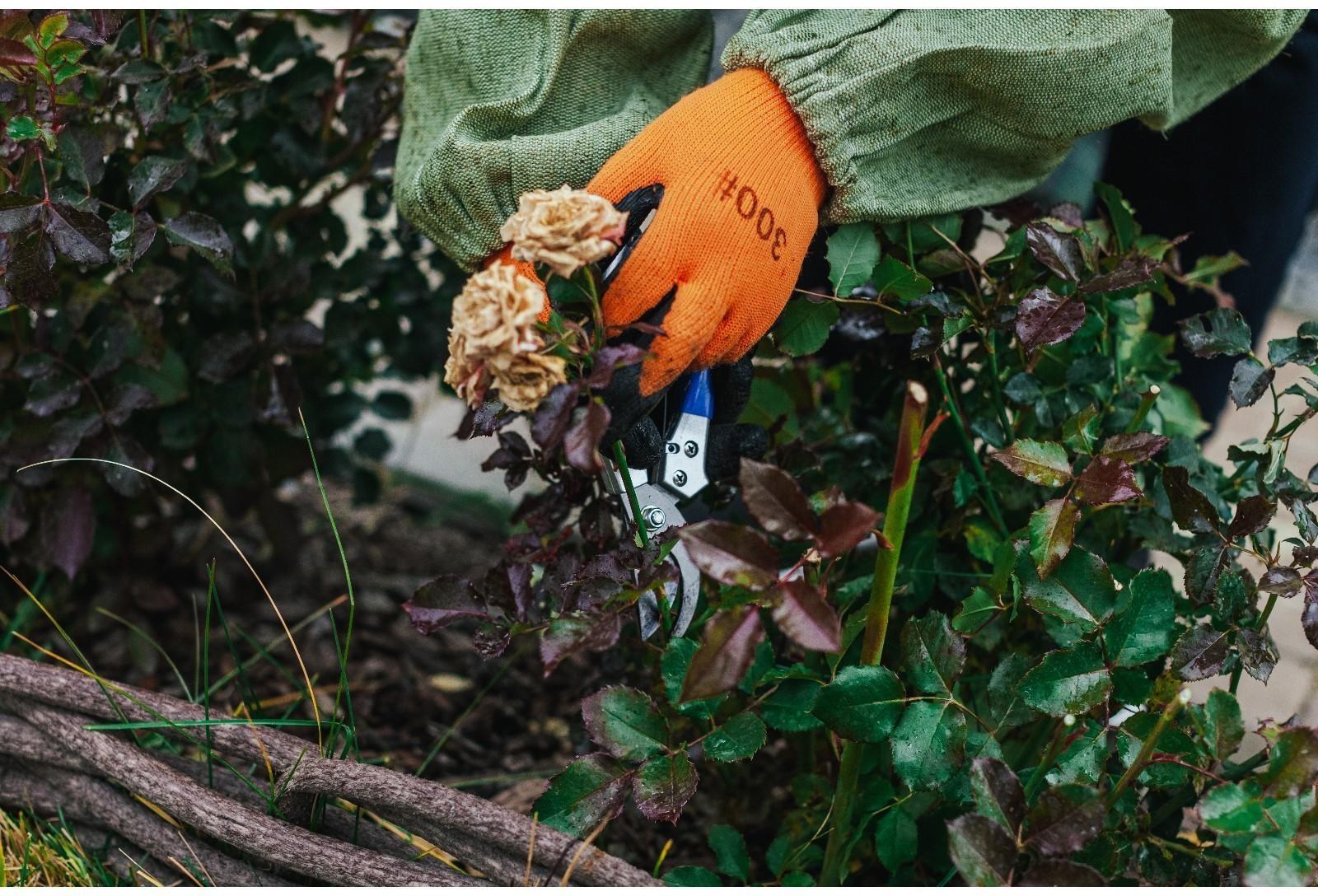 Перчатки нейлоновые, с латексным обливом, утеплённые, размер 10, МИКС