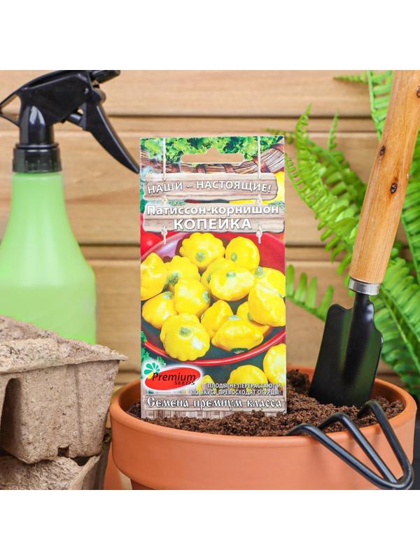 Семена Патиссон Копейка, 7 шт