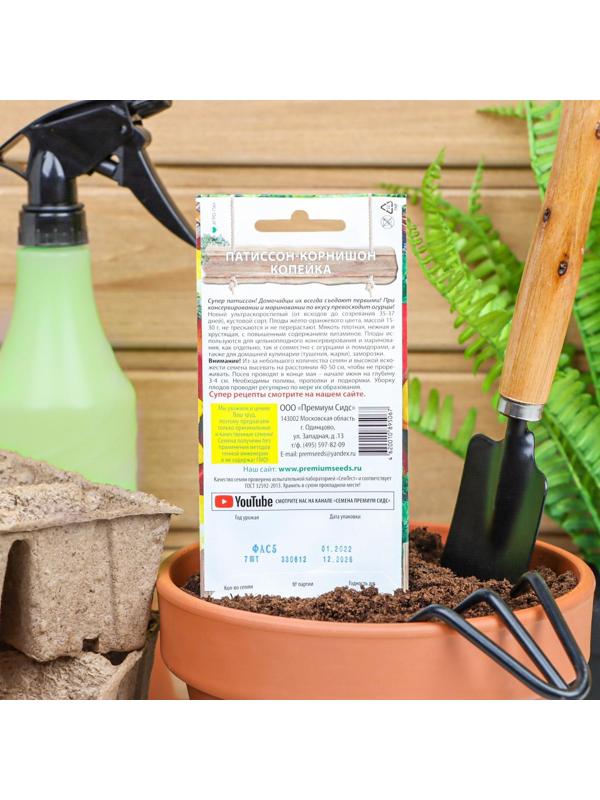 Семена Патиссон Копейка, 7 шт