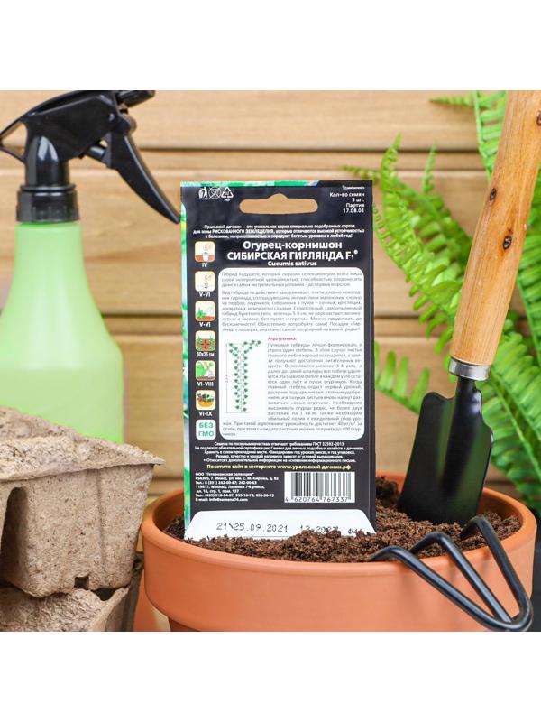 Семена Огурец 