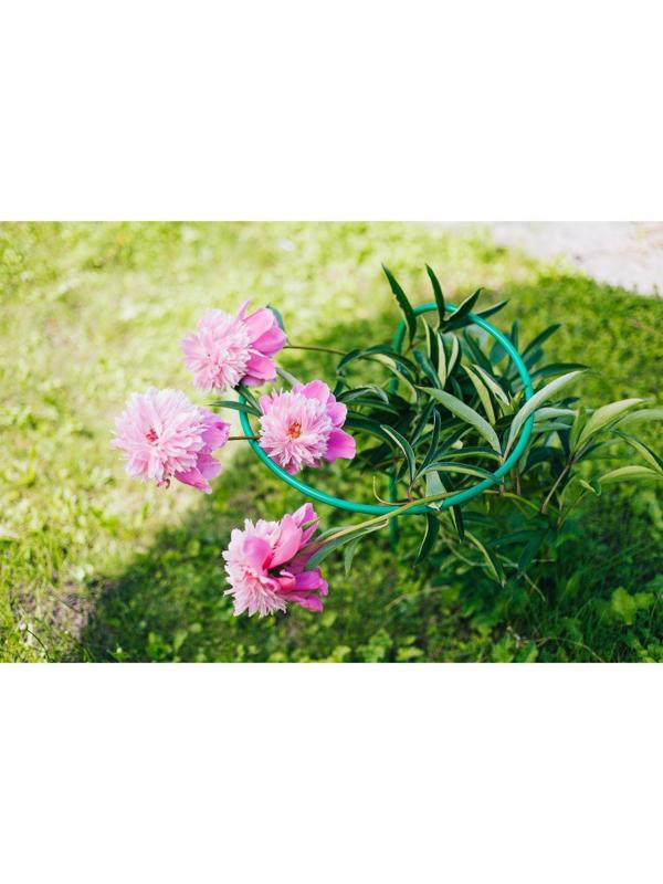 Кустодержатель для цветов, d = 40 см, h = 80 см, ножка d = 1 см, металл, зелёный