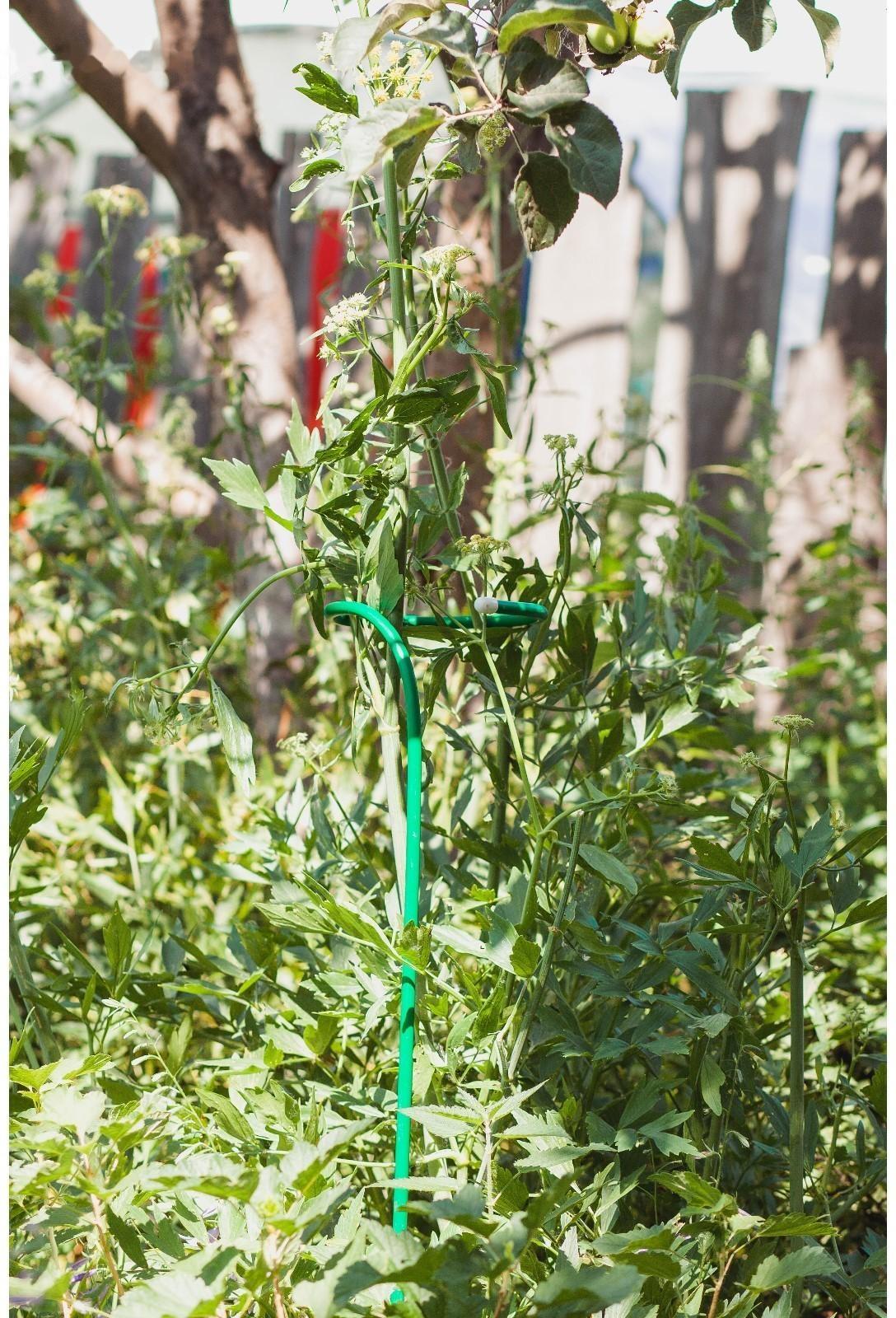 Кустодержатель для цветов, d = 20 см, h = 120 см, ножка d = 1 см, металл, зелёный