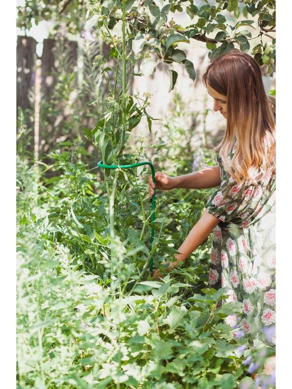 Кустодержатель для цветов, d = 20 см, h = 120 см, ножка d = 1 см, металл, зелёный