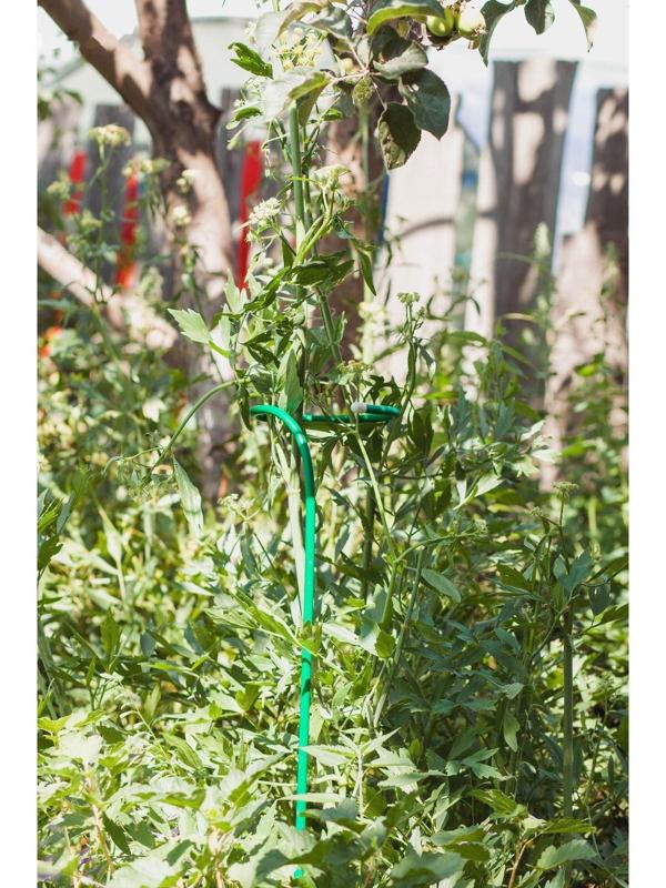 Кустодержатель для цветов, d = 20 см, h = 120 см, ножка d = 1 см, металл, зелёный