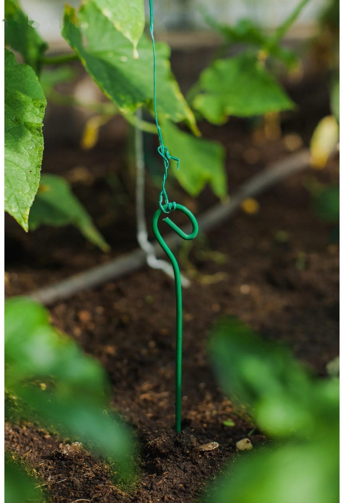 Колышек для подвязки растений, h = 40 см, d = 0.3 см, проволочный, зелёный, Greengo