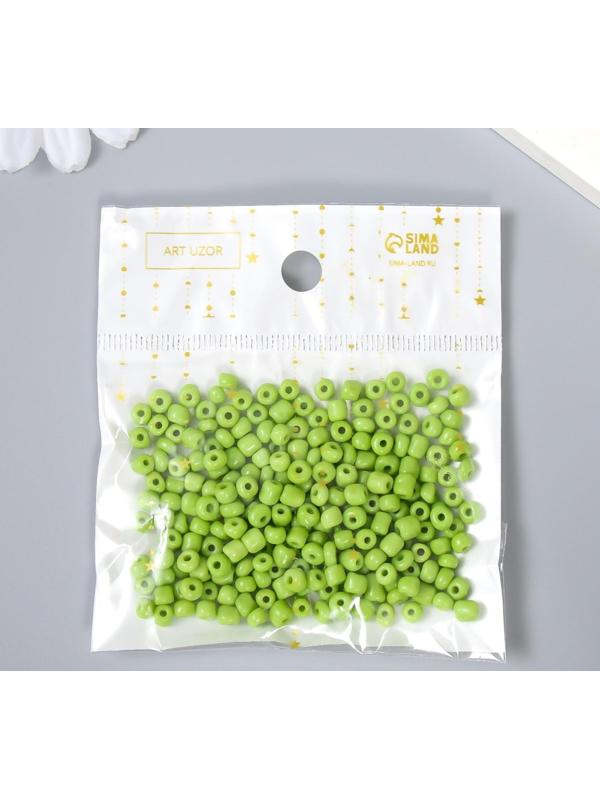 Бисер круглый 6/0 