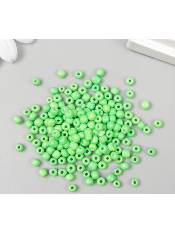 Бисер круглый 6/0 