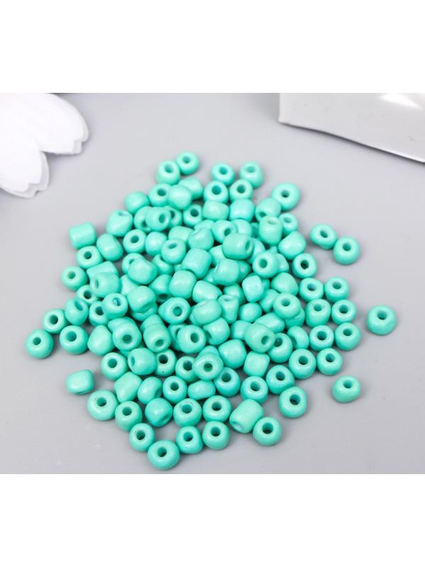 Бисер круглый 6/0 