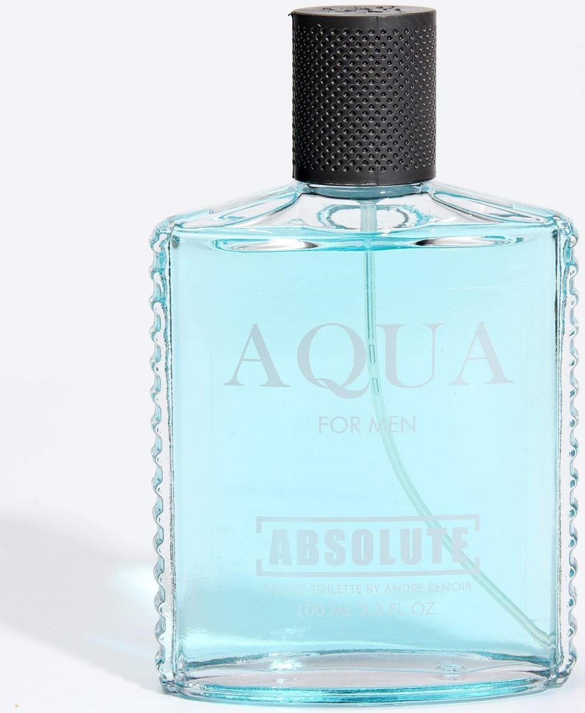 Туалетная вода мужская Absolute Aqua, 100 мл