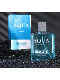 Туалетная вода мужская Absolute Aqua, 100 мл