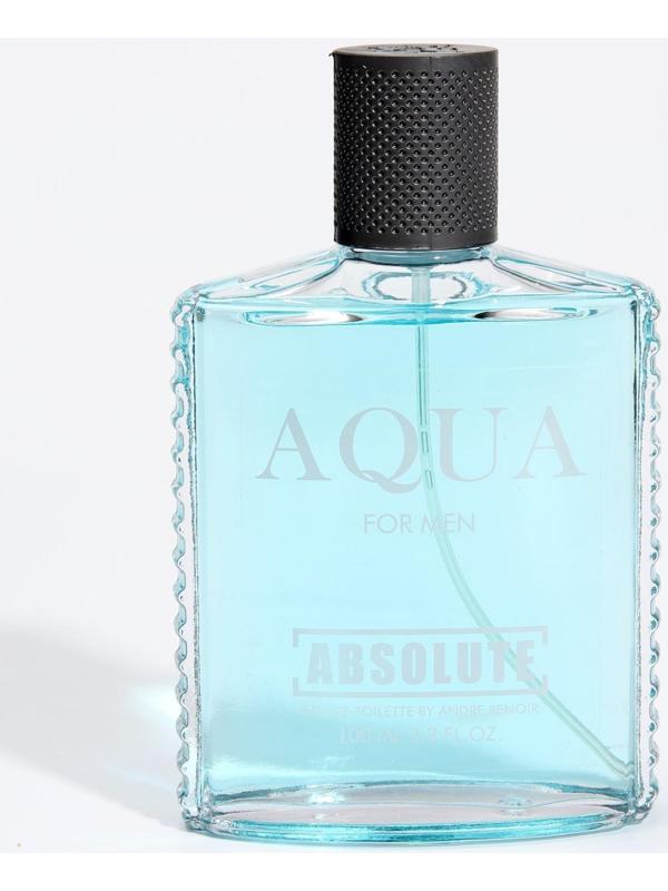 Туалетная вода мужская Absolute Aqua, 100 мл