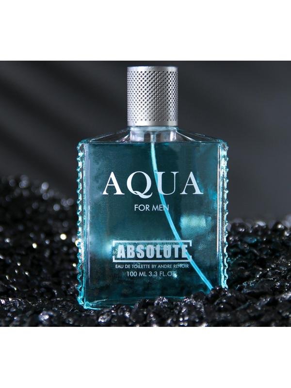 Туалетная вода мужская Absolute Aqua, 100 мл