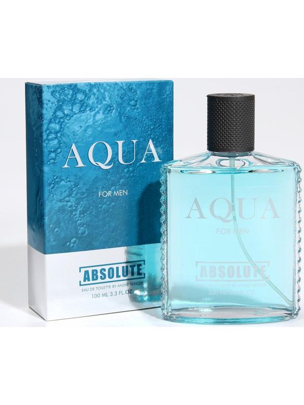 Туалетная вода мужская Absolute Aqua, 100 мл