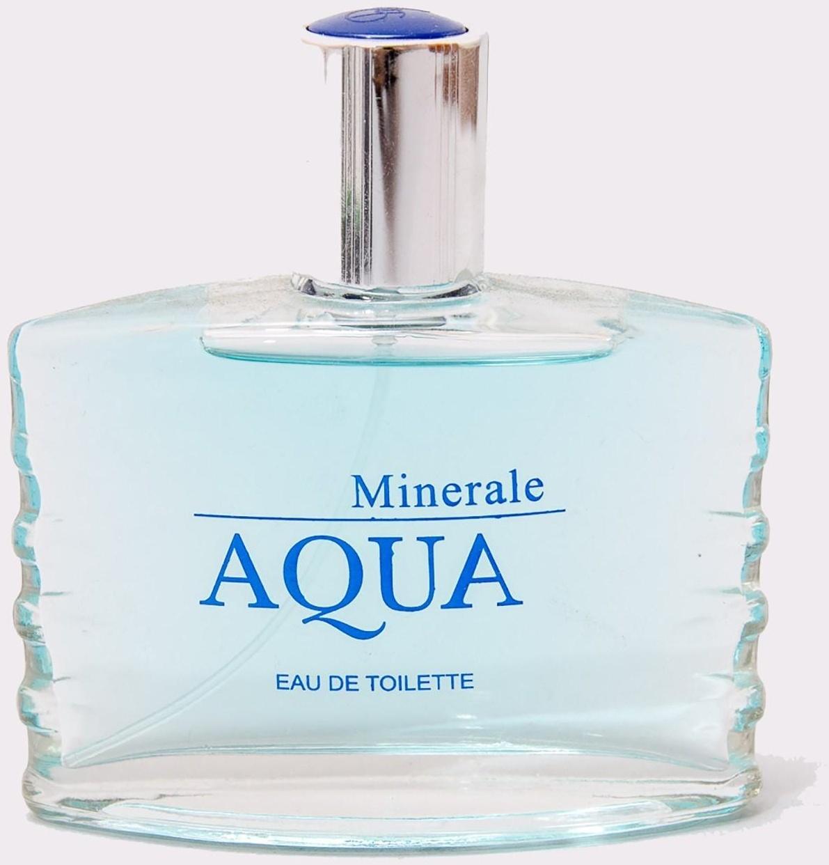 Туалетная вода мужская Aqua Minerale, 100 мл