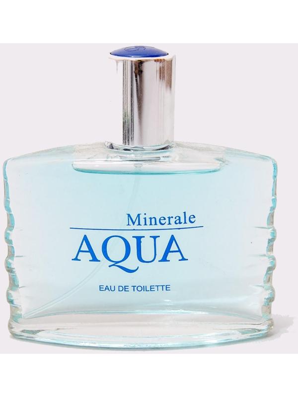 Туалетная вода мужская Aqua Minerale, 100 мл