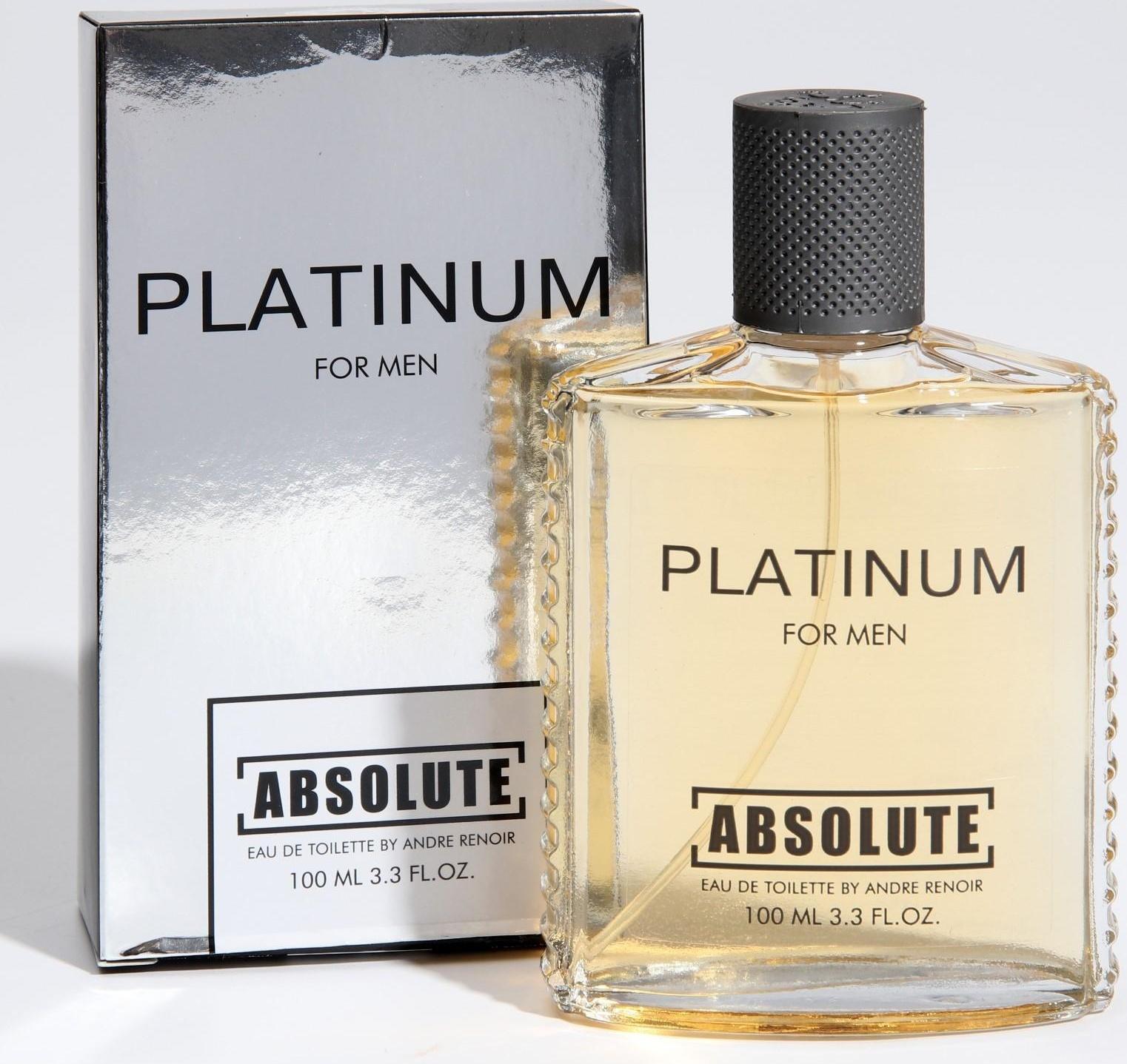 Туалетная вода мужская Absolute Platinum, 100 мл