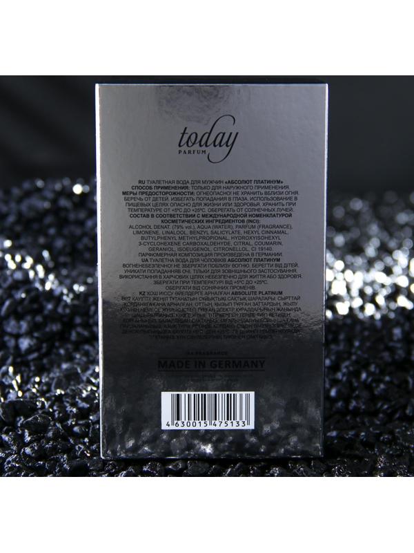 Туалетная вода мужская Absolute Platinum, 100 мл