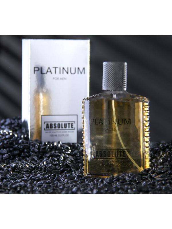 Туалетная вода мужская Absolute Platinum, 100 мл