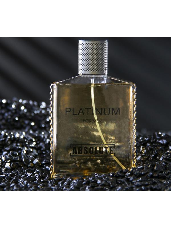Туалетная вода мужская Absolute Platinum, 100 мл