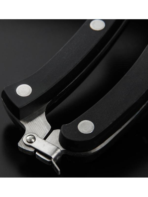 Ножницы кухонные Доляна «Профи», 25×4×1,5 см