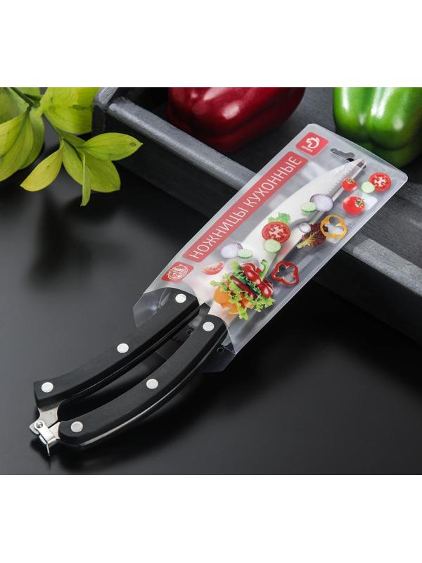 Ножницы кухонные Доляна «Профи», 25×4×1,5 см