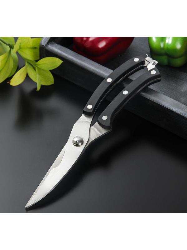 Ножницы кухонные Доляна «Профи», 25×4×1,5 см