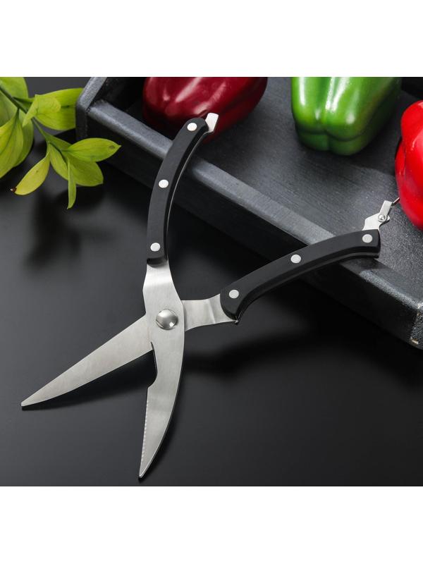 Ножницы кухонные Доляна «Профи», 25×4×1,5 см