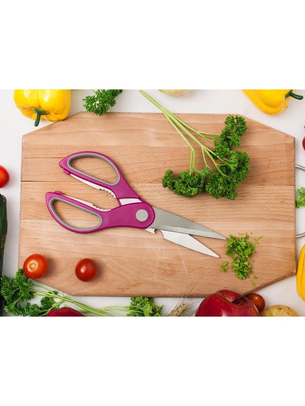 Ножницы кухонные Доляна «Генри», 23 см, цвет МИКС