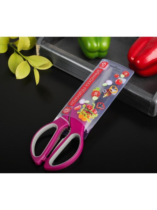 Ножницы кухонные Доляна «Генри», 23 см, цвет МИКС