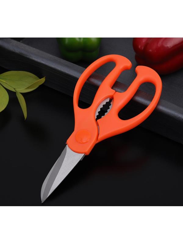 Ножницы кухонные Доляна «Ловкач», 19 см