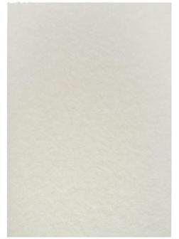 Бумага рисовальная А2, 100 листов, 200 г/м²