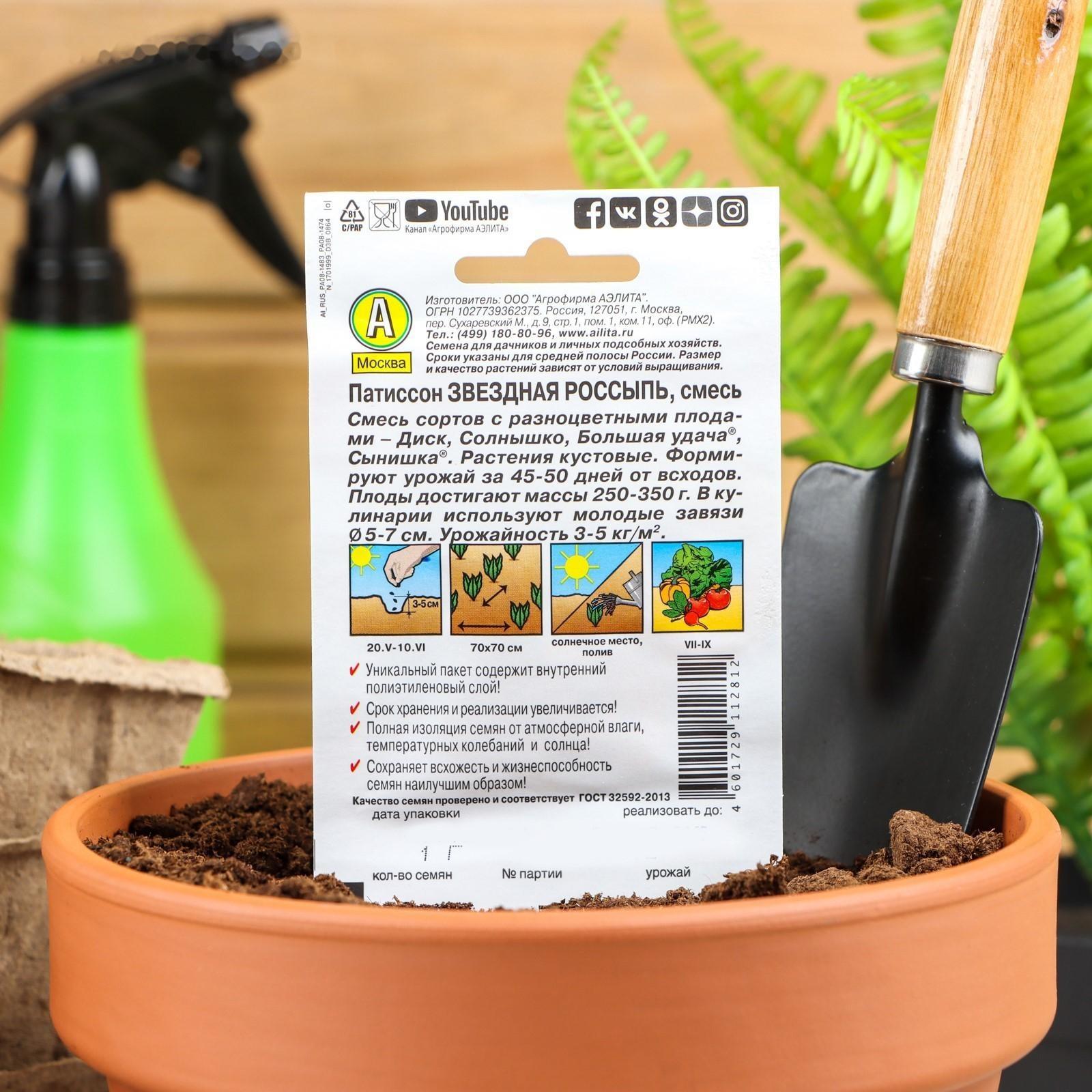 Семена Патиссон Звездная россыпь