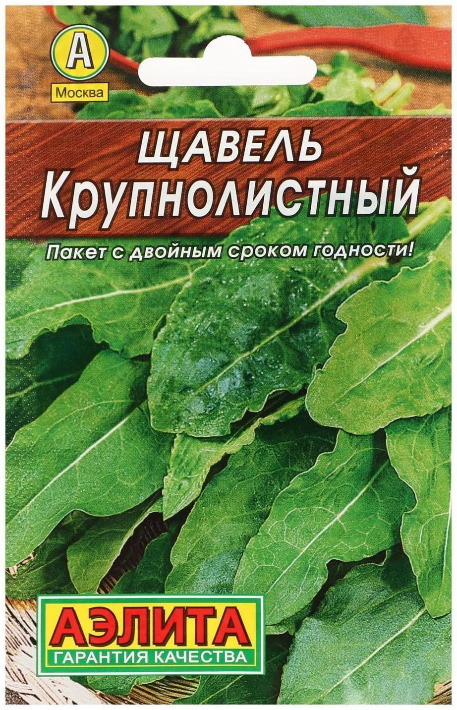 Семена  Щавель 