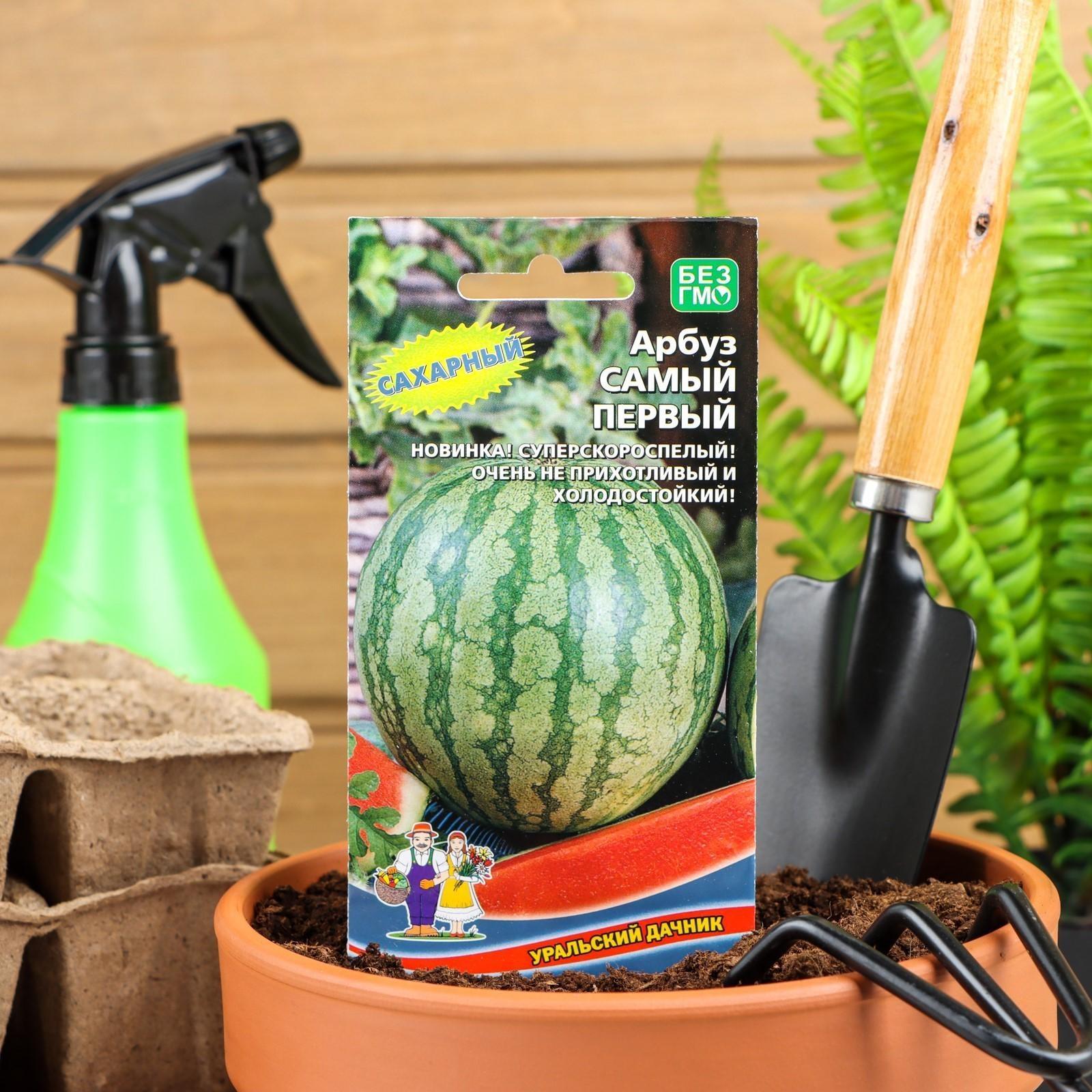 Семена Арбуз 