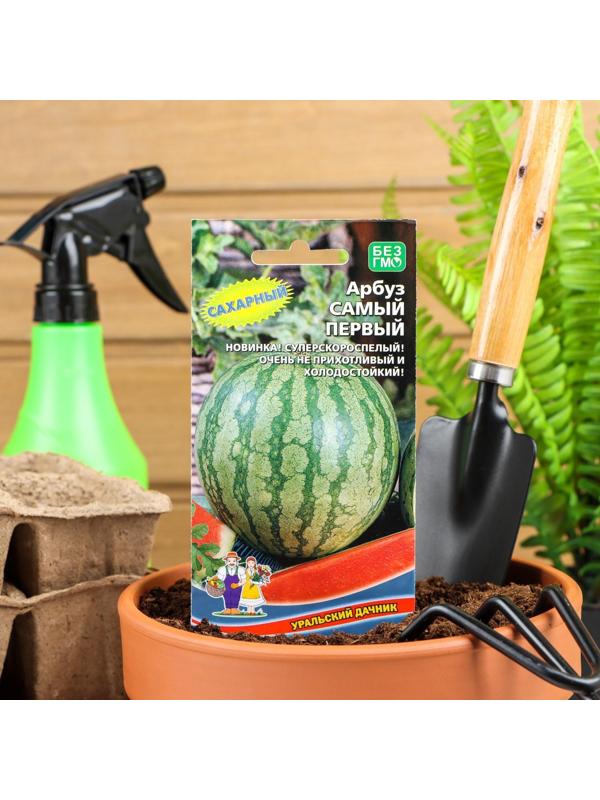 Семена Арбуз 