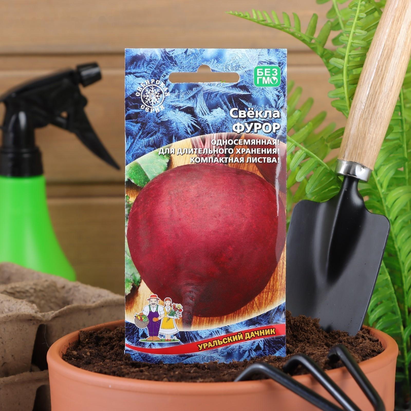 Семена Свекла 