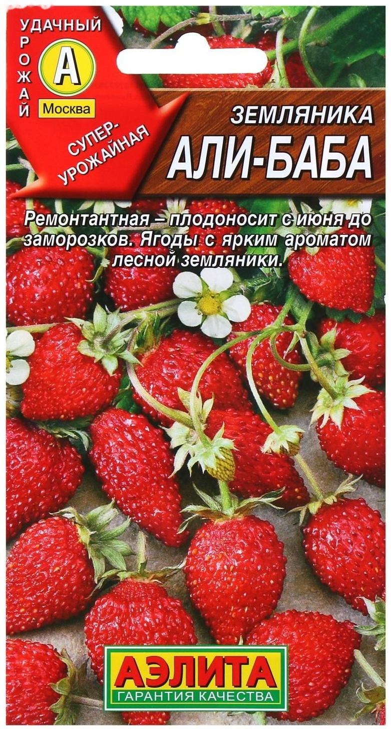 Семена Земляника 