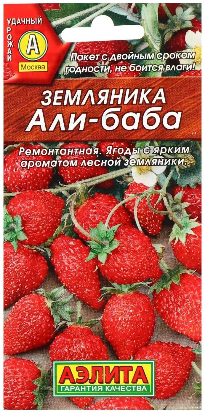 Семена Земляника 