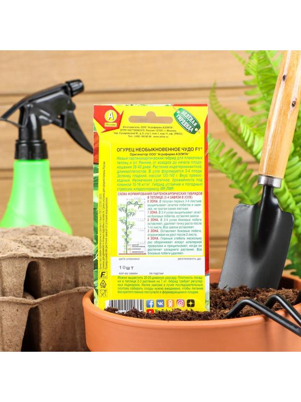 Семена Огурец 