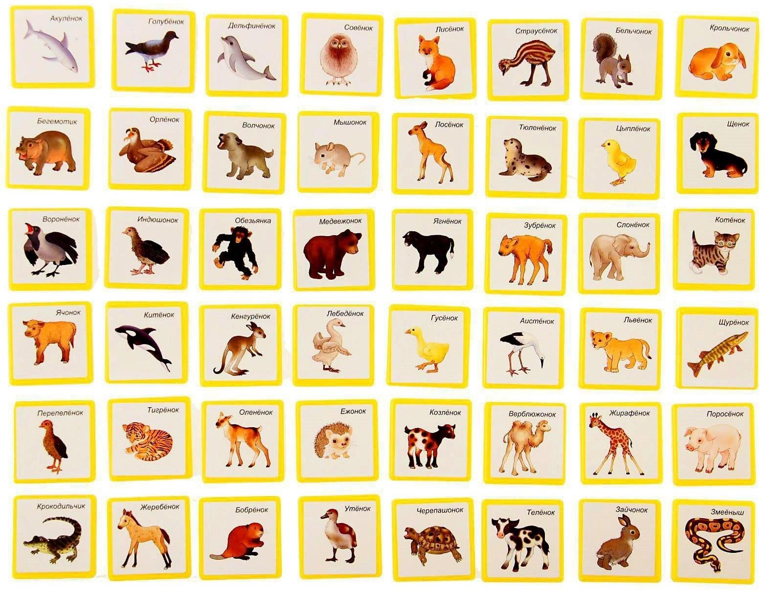 Лото «Чей малыш?»