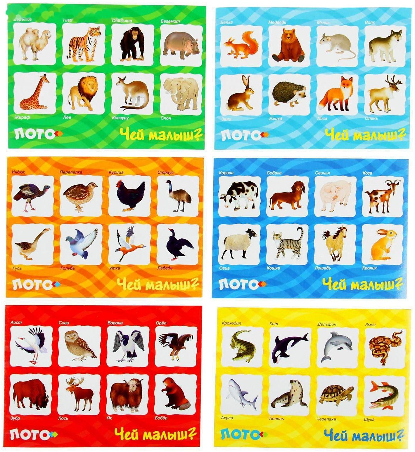 Лото «Чей малыш?»