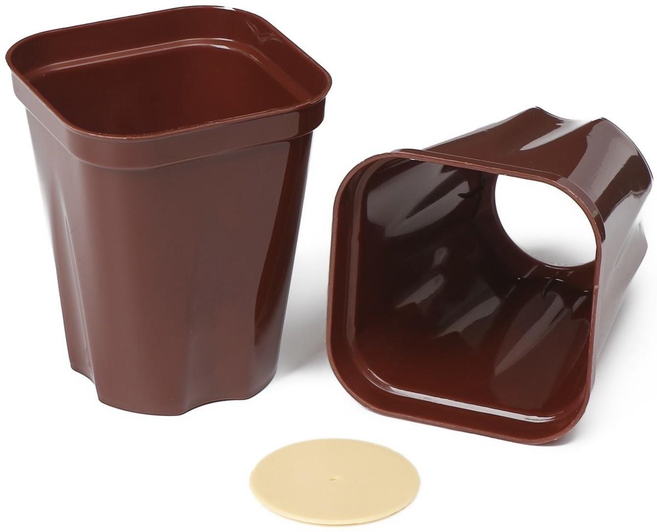 Набор для рассады: стаканы по 250 мл (6 шт.), контейнер 24 × 16 см, МИКС